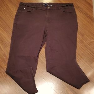 Bandolino Mandie Women's Espresso Plus Size Jeans - Size 22W Short